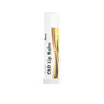 LVWell CBD 50mg CBD Lip Balm - GU PAK