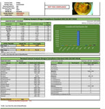 Equilibrium CBD 300mg CBD Gummies - GU PAK