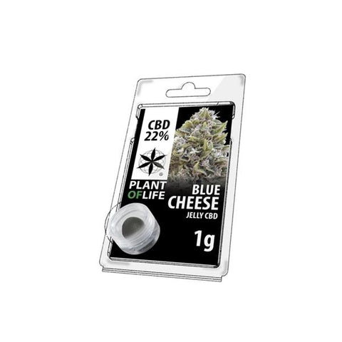 CBD 1g Jelly Blue Cheese 22% - GU PAK
