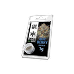 CBD Hash 1g Blue Berry 10% - GU PAK