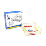 Qianli Natural Type Multi colour Glass Ash Tray- G1016-4 - GU PAK